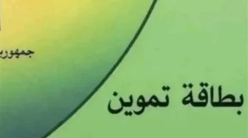 ضوابط جديدة تنظم إضافة أفراد الأسرة إلى بطاقات التموين لمستحقي الدعم